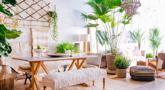 Тропический стиль в интерьере: жаркое солнце Амазонки у вас дома